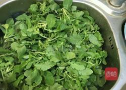 蒜蓉炒萝卜苗的做法图解1