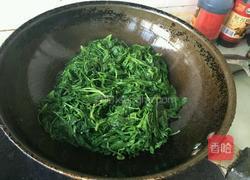 蒜蓉炒萝卜苗的做法图解6