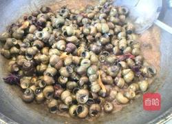 红烧螺蛳的做法图解7