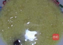 小米红枣银耳粥的做法图解4