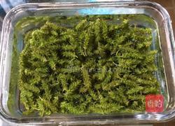 柳树芽拌葱丝的做法图解3