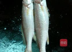 三牙鱼汤的做法图解3