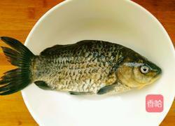 鲫鱼豆腐汤的做法图解1