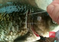 鲫鱼豆腐汤的做法图解2