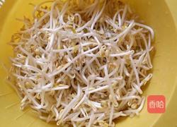 自制绿豆芽的做法图解3