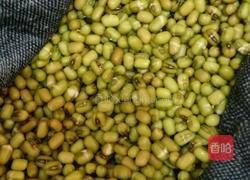 自制绿豆芽的做法图解1