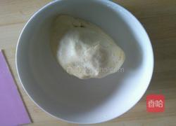 水果派的做法图解8