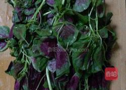 苋菜的做法图解1