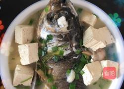 清炖豆腐鱼头汤的做法图解4