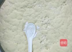 馒头的做法图解9