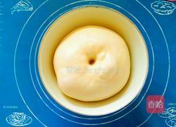 酸奶太阳花环面包的做法图解4