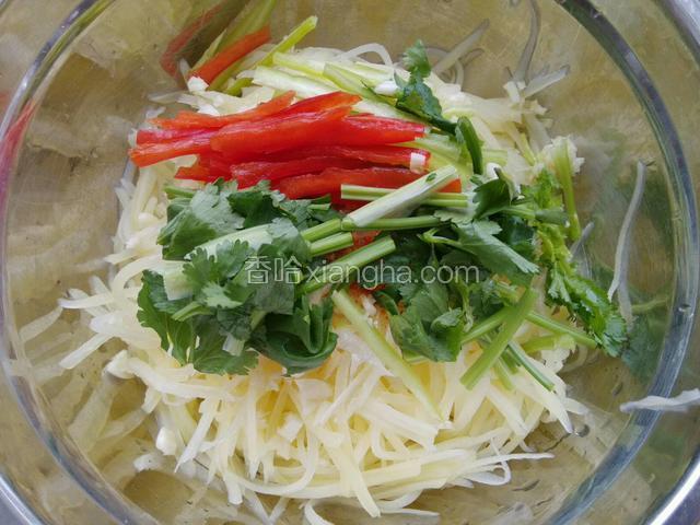 加青红椒丝和香菜段，搅拌均匀。