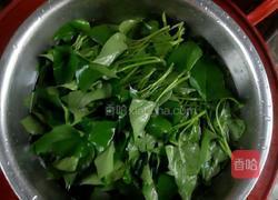 清炒番薯叶的做法图解1