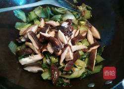 香菇烧油菜的做法图解10