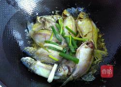 野生鲫鱼豆腐汤的做法图解4