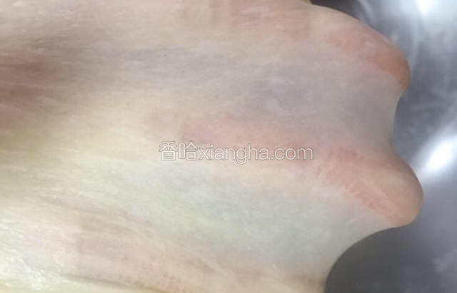 而且薄膜上还有很多小气泡，这就说明发酵也会很好的！