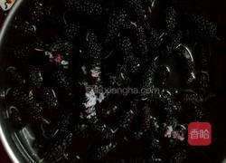 桑葚酒的做法图解1