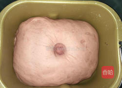 紫薯蜜豆面包的做法图解7