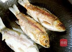 香浓鲫鱼汤的做法图解4