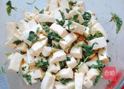 香椿芽拌豆腐的做法图解10