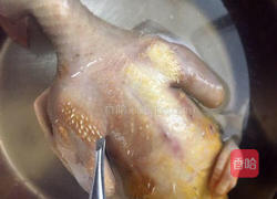 春笋乳鸽汤的做法图解7