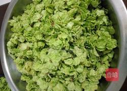 榆钱麦饭的做法图解1