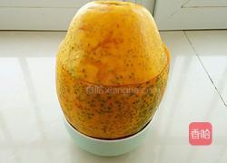 木瓜椰奶冻的做法图解7