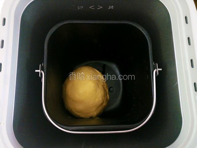 面团滚圆直接放在面包桶里进行第一次发酵。