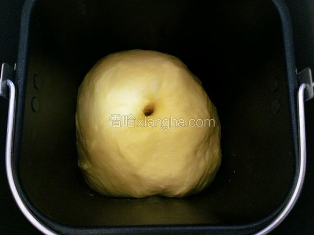 发酵至原来的2.5倍大。手指沾水探入不回缩即发酵完成。