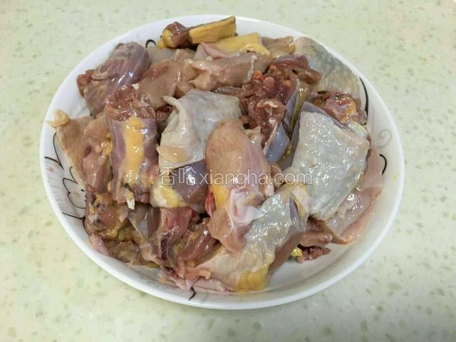 农村土鸡一只，洗干净切成大块儿备用。