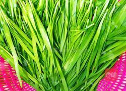 韭菜鸡蛋水饺(生鸡蛋版)的做法图解1