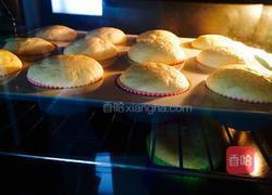 柠香纸杯戚风蛋糕的做法图解16