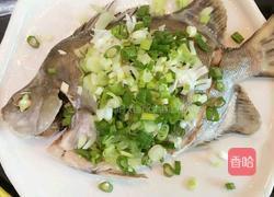 清蒸金鼓鱼的做法图解6