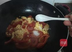 番茄炒鸡蛋的做法图解7
