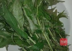 香椿芽炒鸡蛋的做法图解1