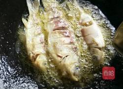 鲫鱼豆腐汤的做法图解4