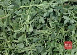 苜蓿菜疙瘩的做法图解1