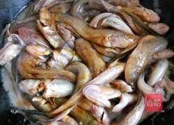 炖胖条鱼的做法图解6