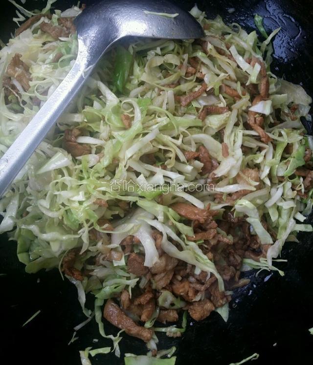 加入甘蓝，加适量盐翻炒