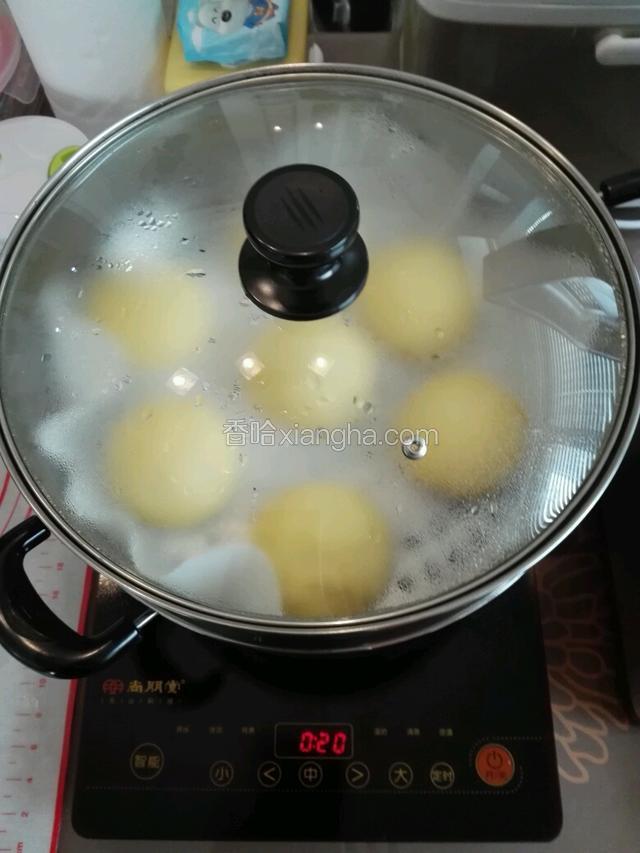 用电磁炉的火力最大是9级，定时15分钟