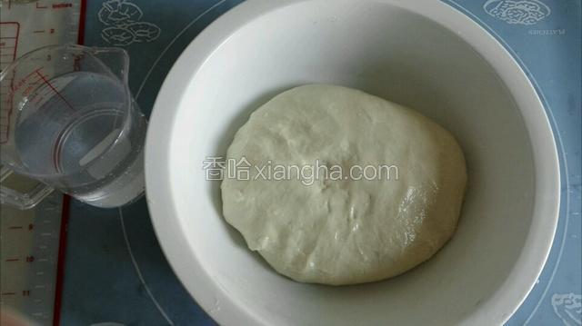 普通面粉用温水和软盖上保鲜膜松弛一小时（烙饼前先和面松驰到位才能烙岀品像层多的饼呢）