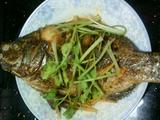 香煎非洲鲫