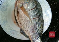 香煎非洲鲫的做法图解2