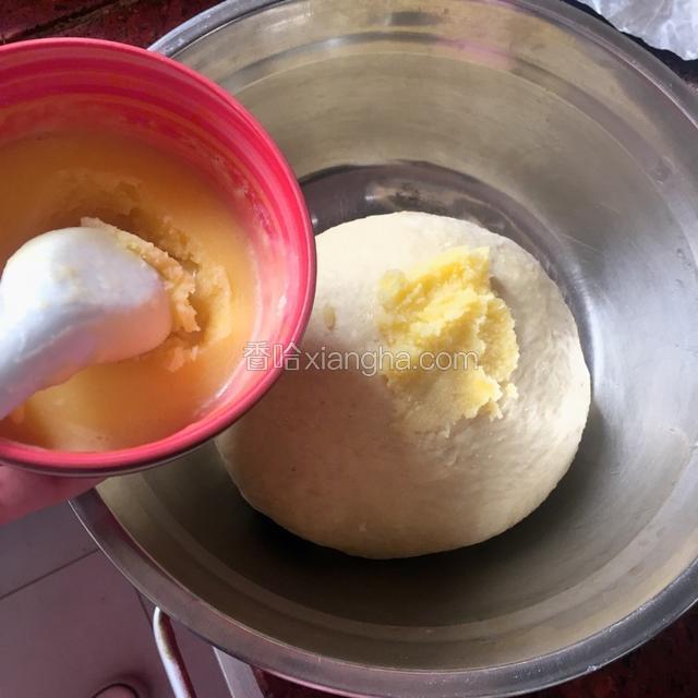 加入软化好的黄油，再次揉面把黄油都揉化开