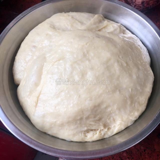 面团发酵好拿出揉搓，揉到有面筋感就可以，也可以揉出手膜状