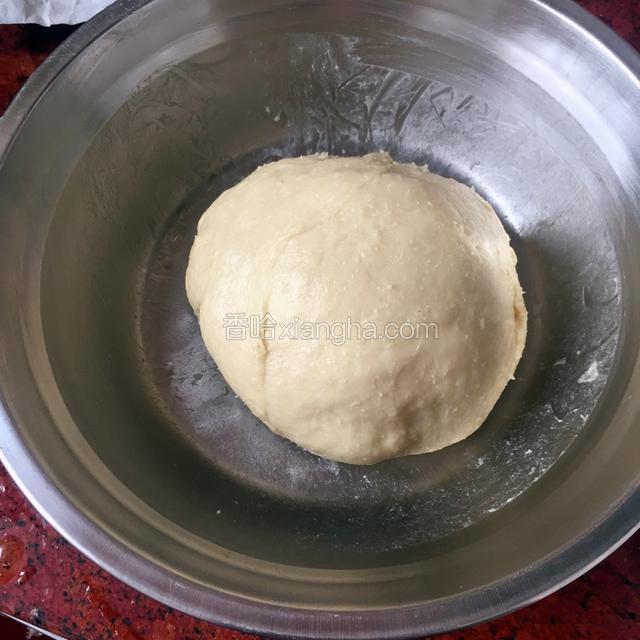 揉好面团盖上保鲜膜发酵至2倍大