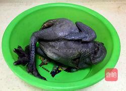 滋补乌鸡汤的做法图解1