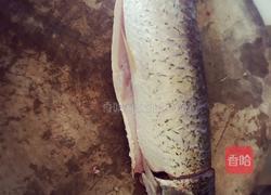 干锅鱼块的做法图解1