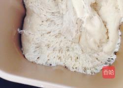 全麦刀切馒头的做法图解4