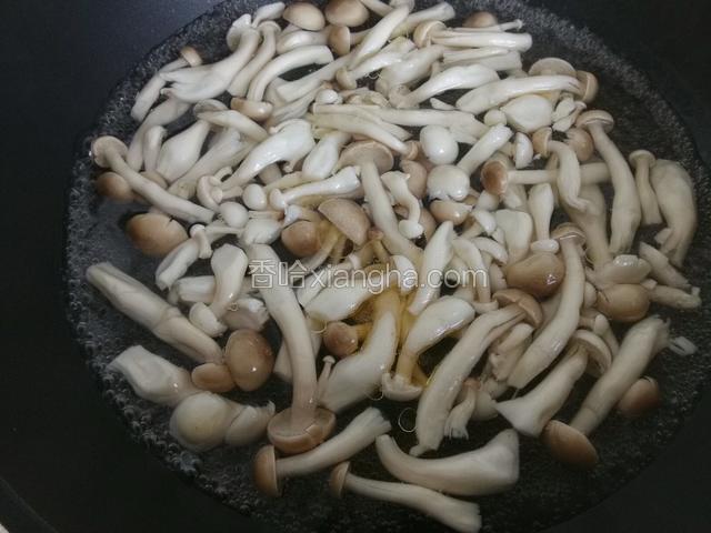 锅中烧开水，下双菇加少许油，一勺盐焯制。